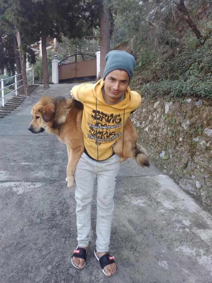 The Brigadiers Cottage, Mussoorie Zewnętrze zdjęcie
